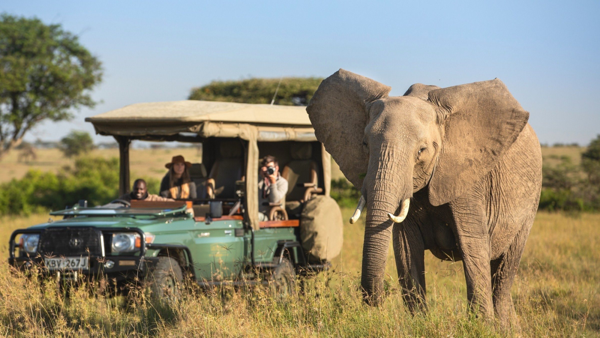 WILDLIFE TANZANIA LUXURY SAFARIS