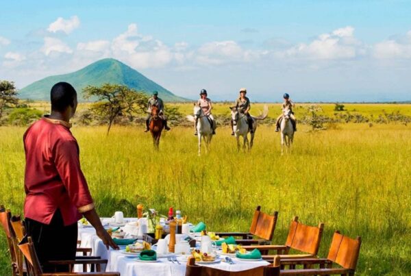 WILDLIFE TANZANIA LUXURY SAFARIS