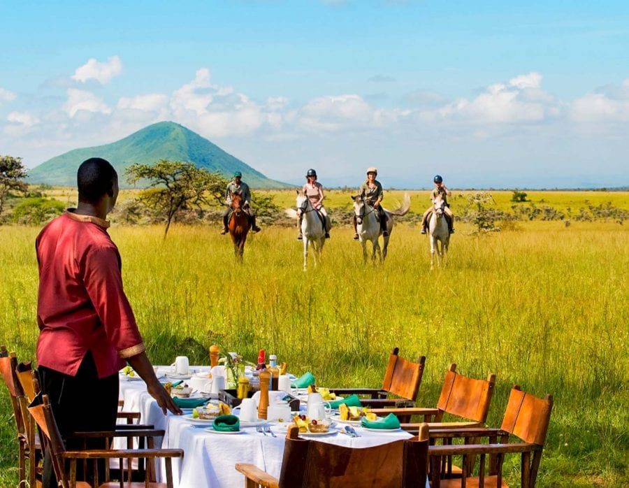 WILDLIFE TANZANIA LUXURY SAFARIS