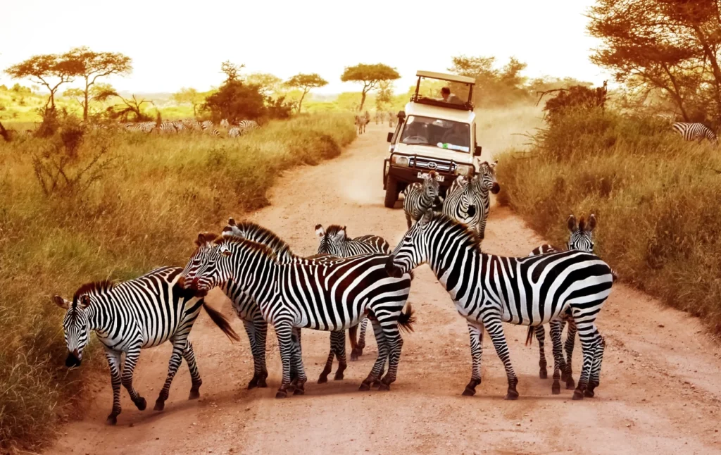 Ways to Escape the Masses at the Serengeti