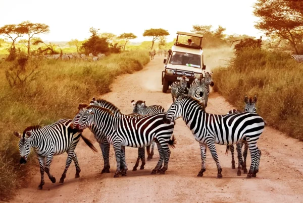 Ways to Escape the Masses at the Serengeti