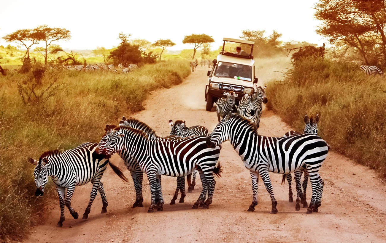 Ways to Escape the Masses at the Serengeti