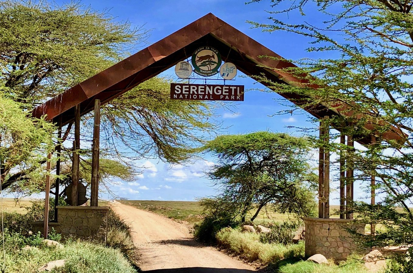 Ways to Escape the Masses at the Serengeti
