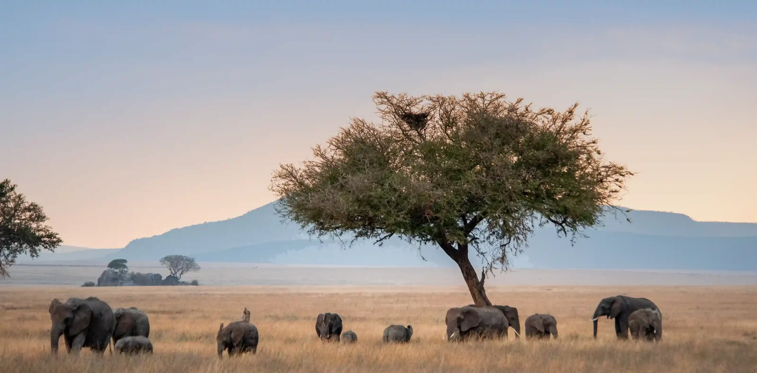 What Should You Know Before Traveling to Tanzania?