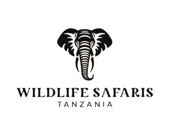 Wildlife Safaris Tanzania