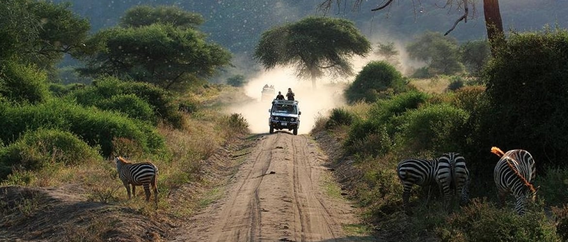 Bespoke africa safaris
