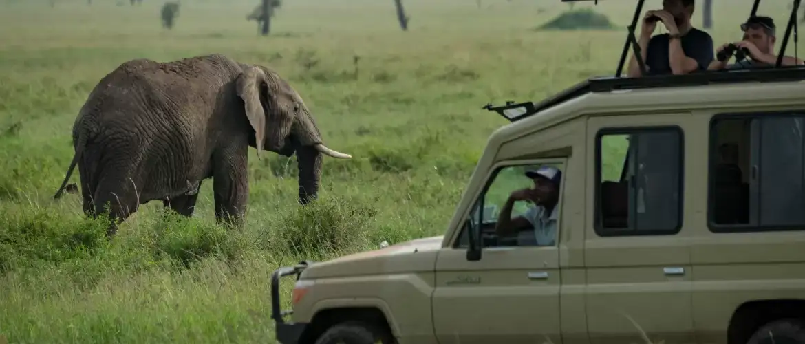 best time for africa safaris