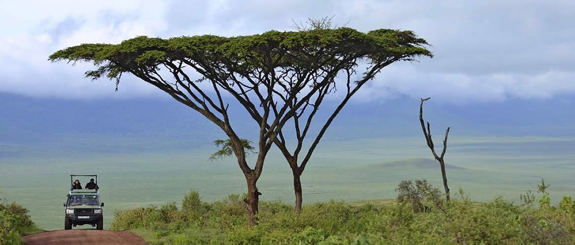 is africa safe to visit