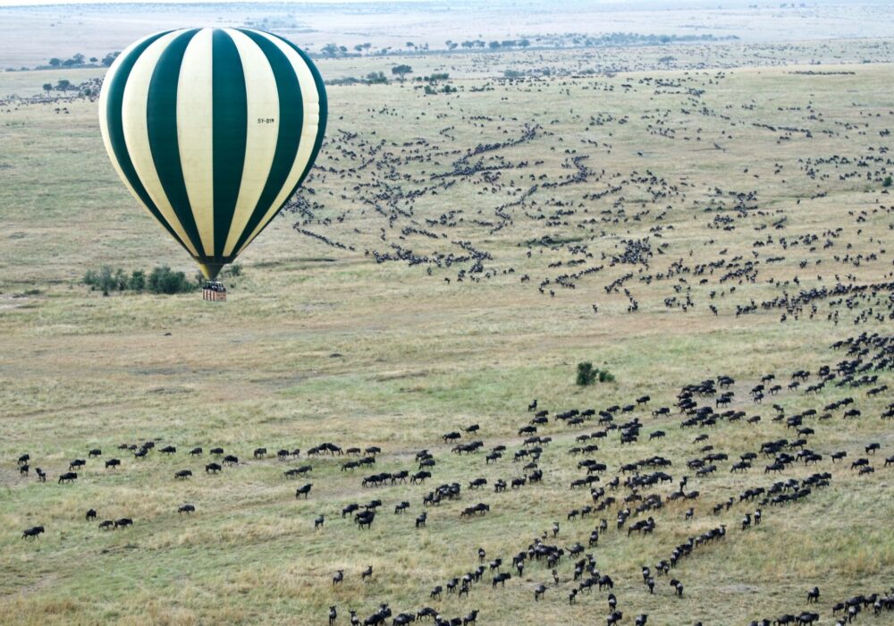 serengeti 2 4 Days Serengeti & Ngorongoro Safari