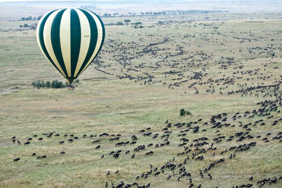 4 Days Serengeti & Ngorongoro Safari