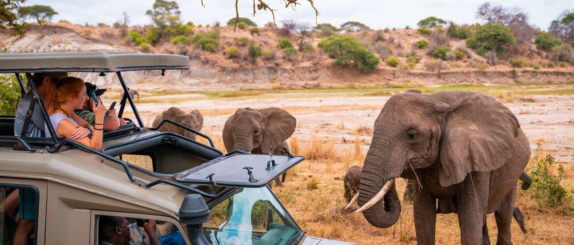 top african safari packages