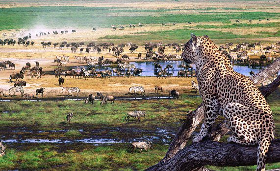 Park fees and passes Serengeti National Park