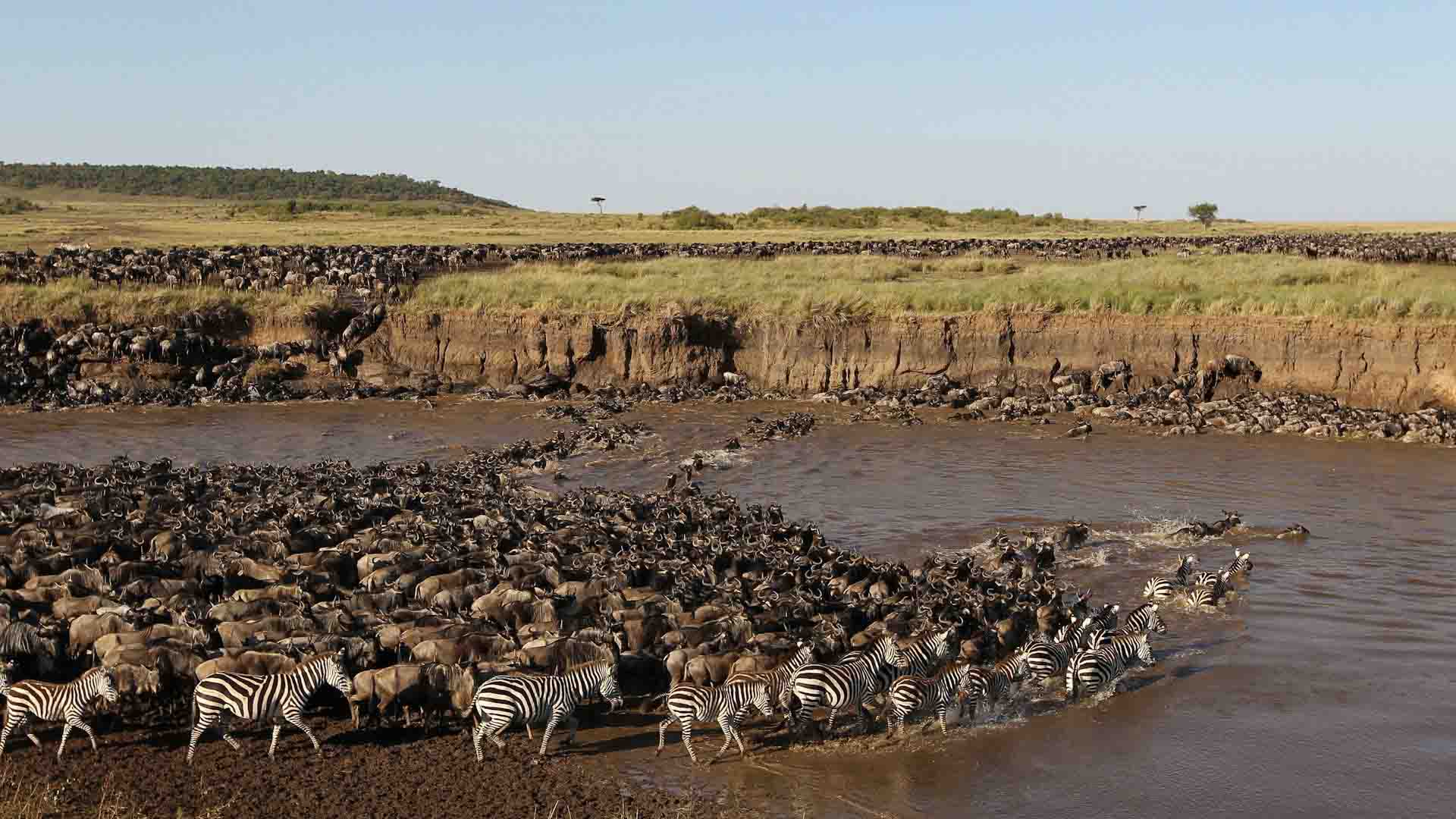 TOP Things to Know About Serengeti National Park before you go