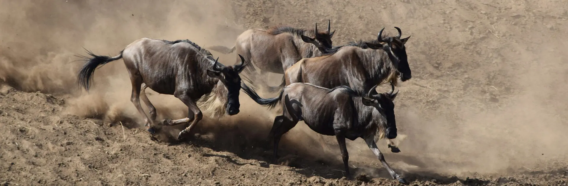 The Great Migration: What, When and Where?