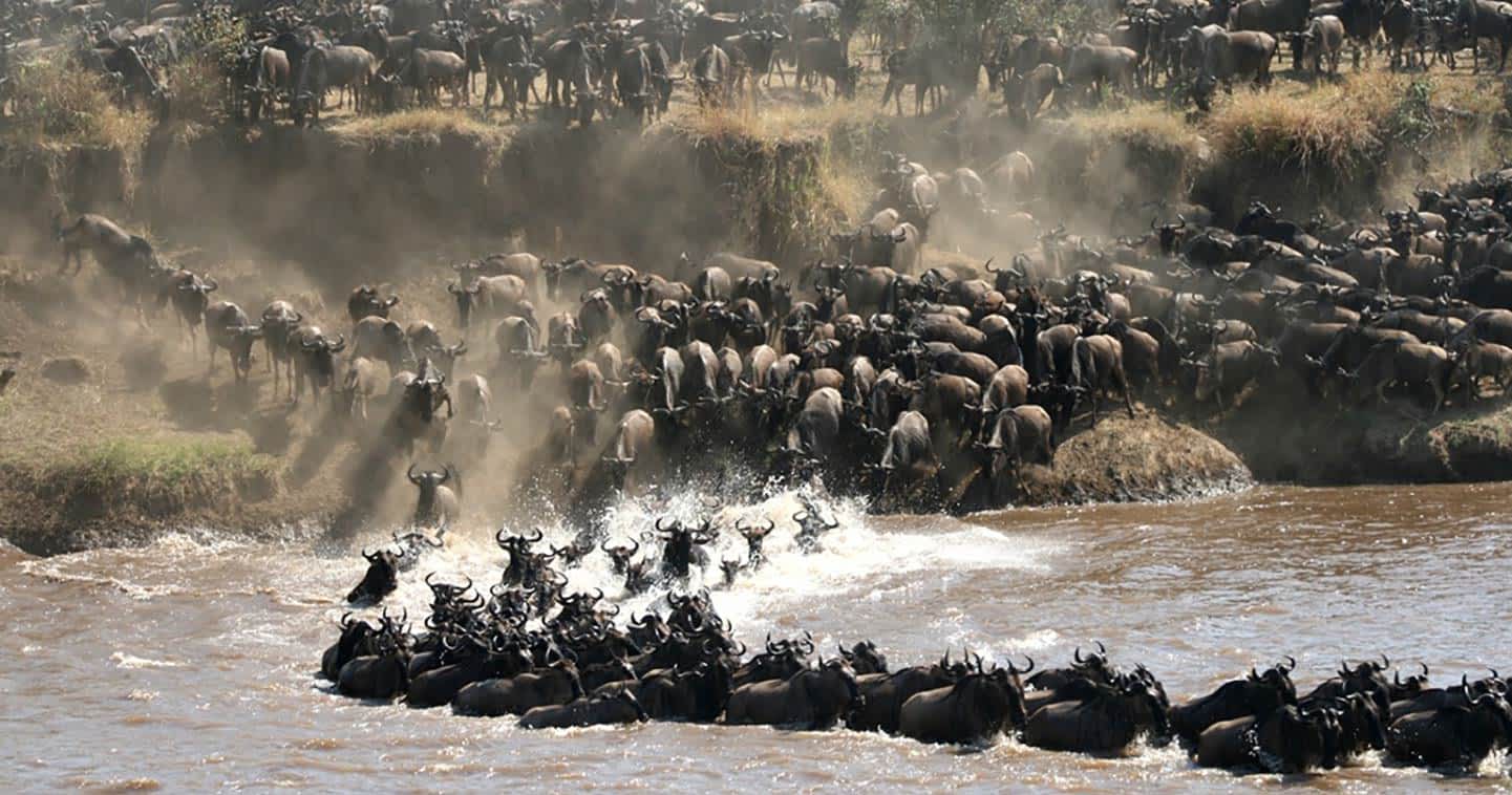 The Great Migration: What, When and Where?