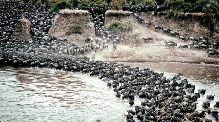 The Great Migration: What, When and Where?