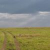 Which region is Serengeti National Park located in