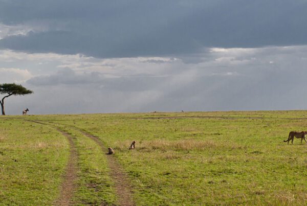 Which region is Serengeti National Park located in