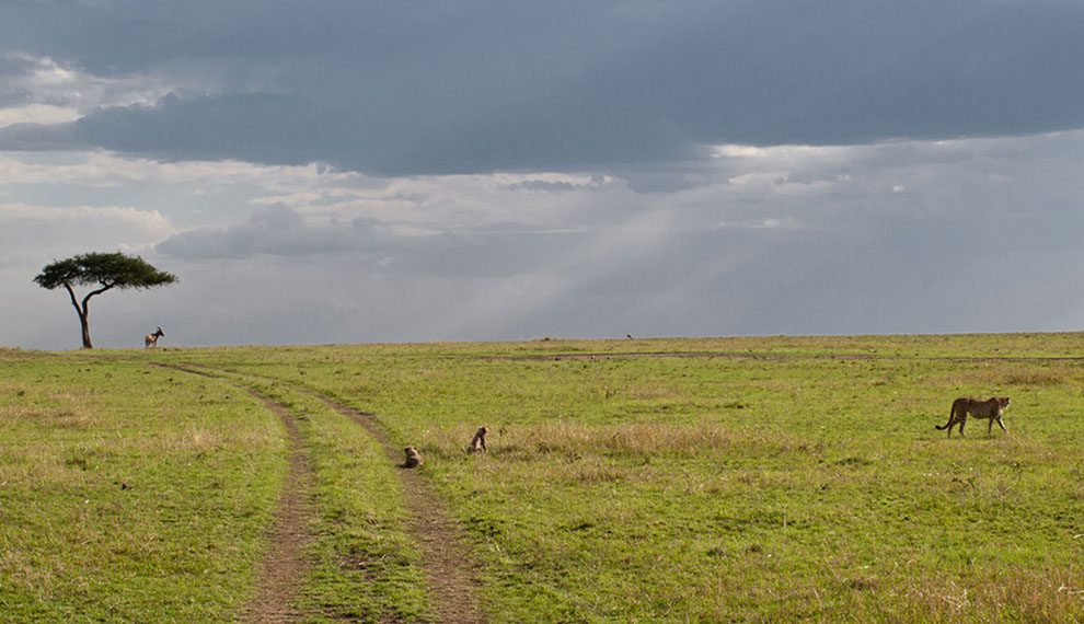 Which region is Serengeti National Park located in