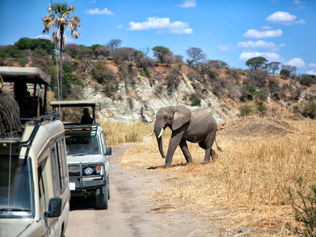 Wilderness Safaris Tanzania