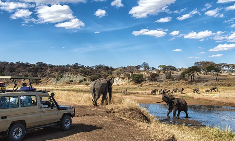 1 Day Tanzania Wildlife Safaris Itinerary