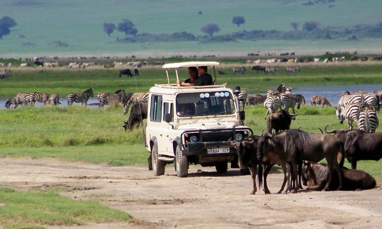 3 Day Wildlife Safaris Tanzania Itinerary