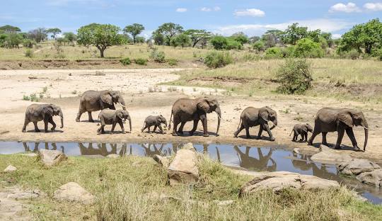9 Day Wildlife Safaris Tanzania Itinerary