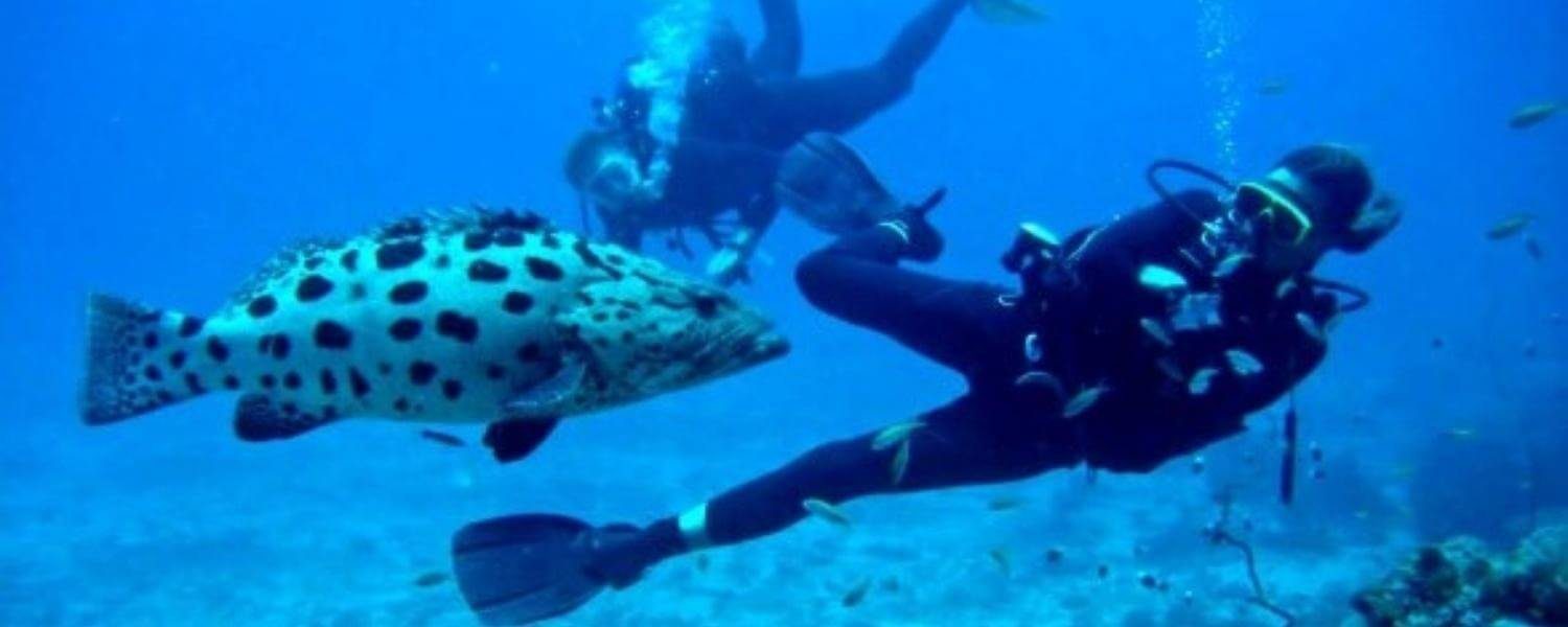 Diving at Mafia Island