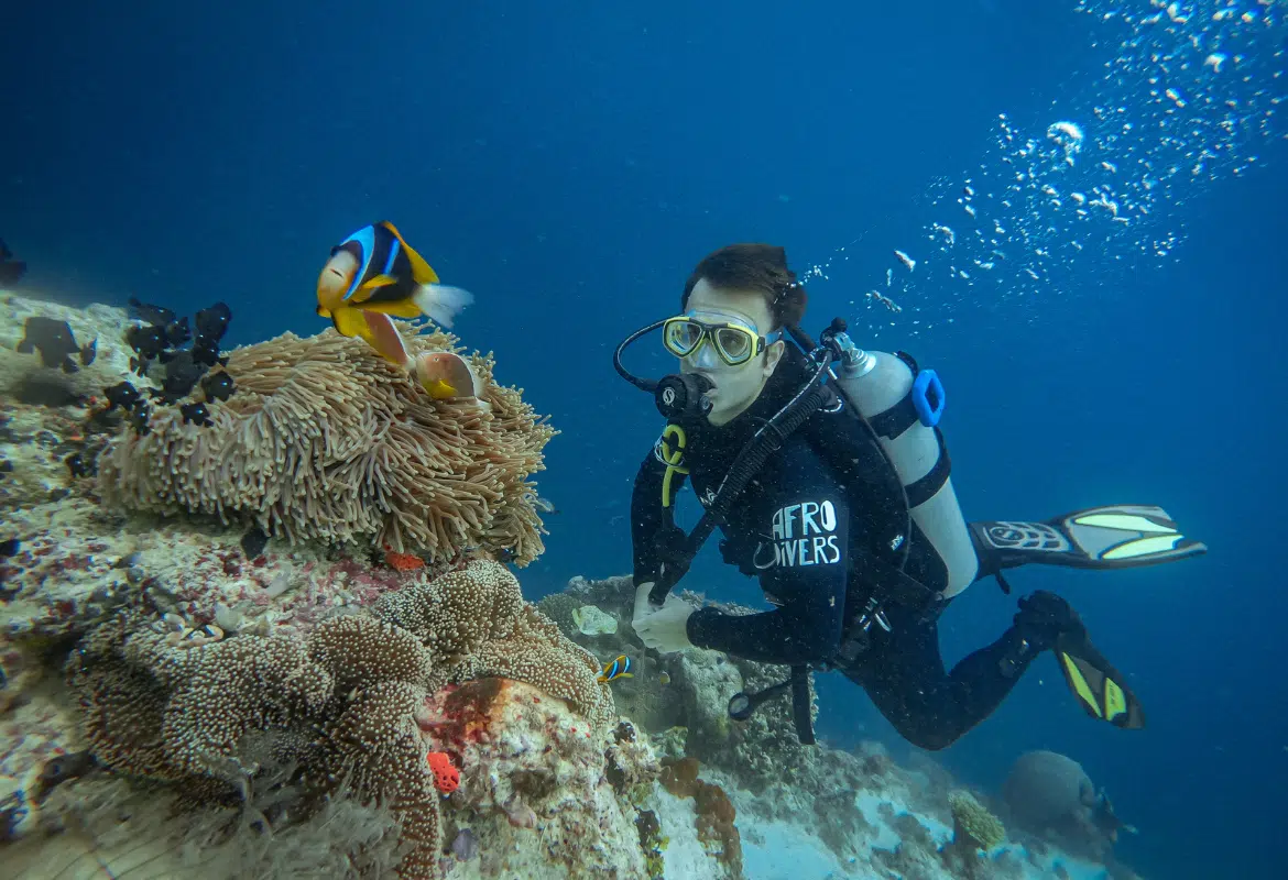 Diving at Mafia Island