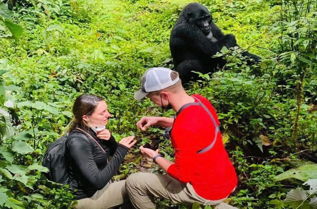 Engagement on a Gorilla Trek.