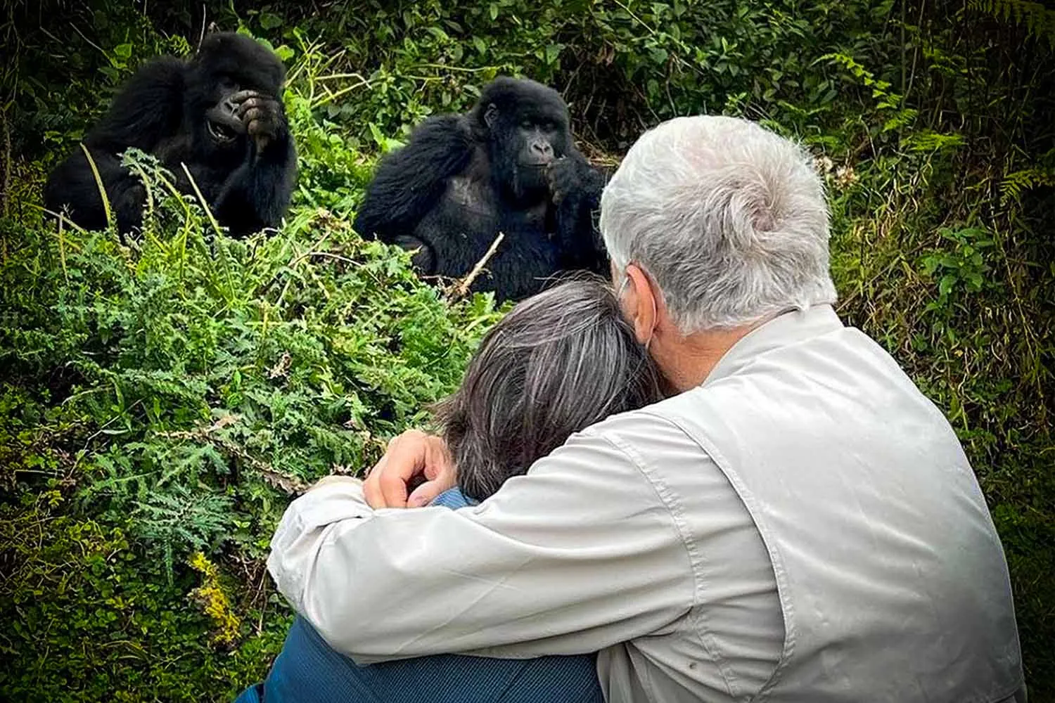 Engagement on a Gorilla Trek.