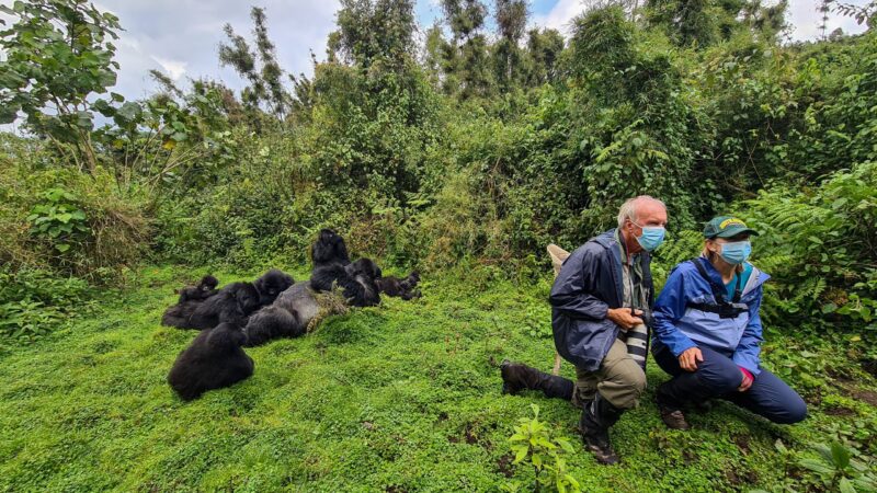 Honeymoon on a Gorilla Trek