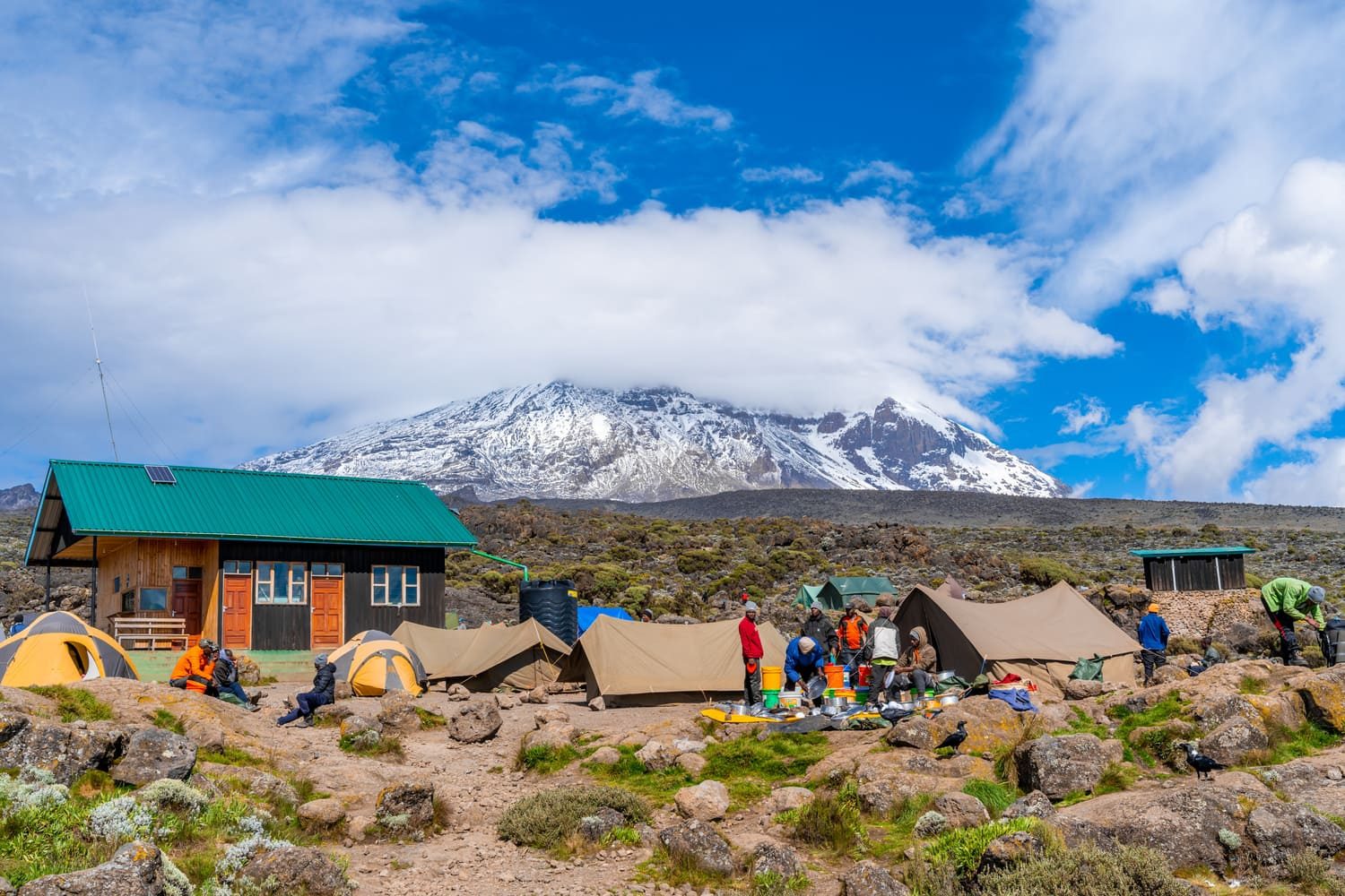 Kilimanjaro National Park