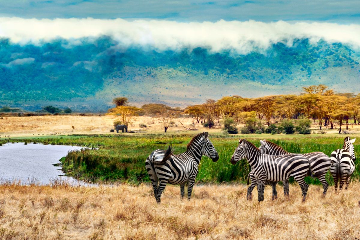 Ngorongoro Crater: Exploring Africa’s Natural Wildlife Eden