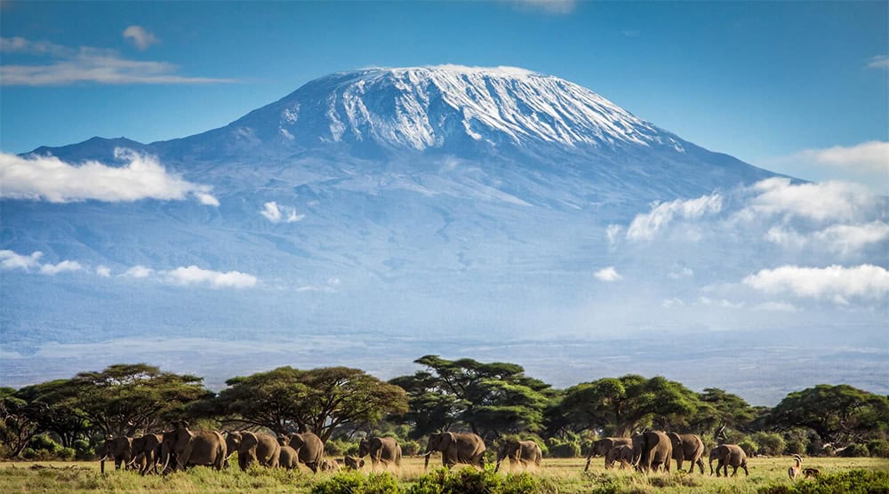 The Best way to Climb Mt Kilimanjaro Safely.