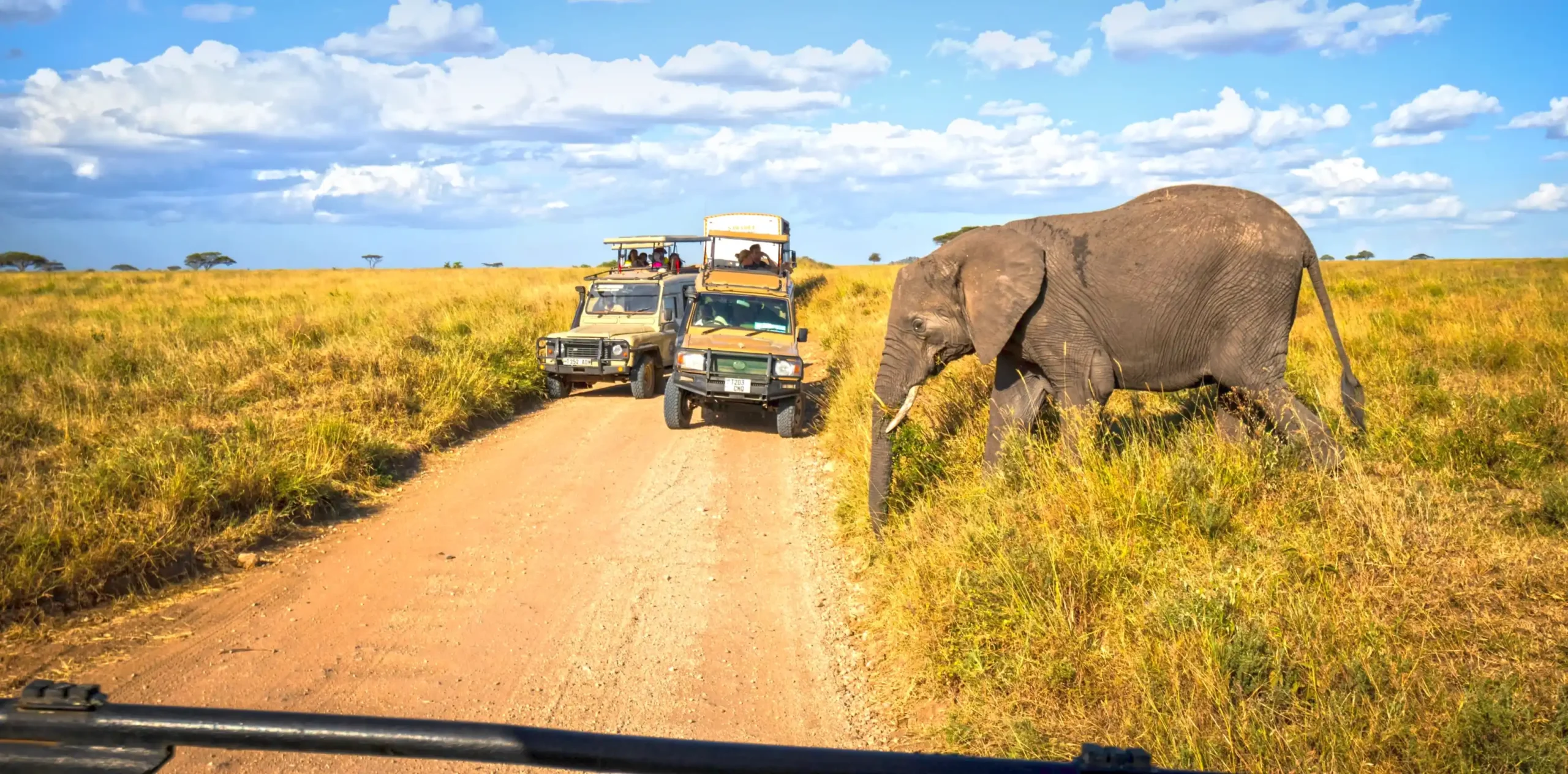 Why Tanzania Is Africa’s Premier Big Five Safari Destination