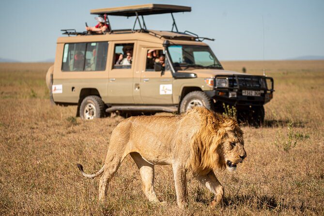 Wildlife safari Tanzania reviews