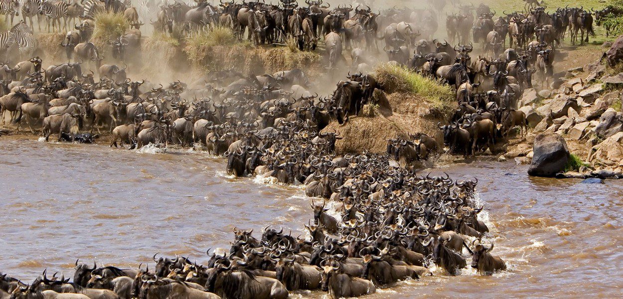 Masai Mara National Reserve