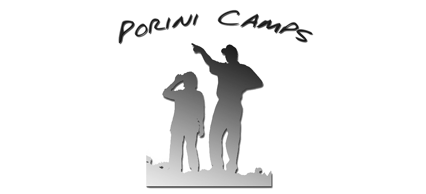 widlife safaris tanzania