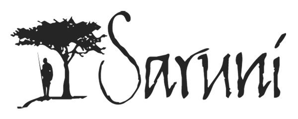 widlife safaris tanzania