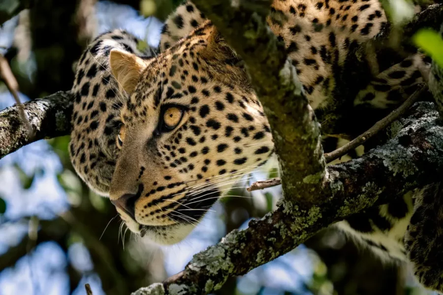 Serengeti National Park