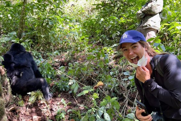 The "Epic Journey" 7-day Smart Gorilla & Serengeti Prestige expedition