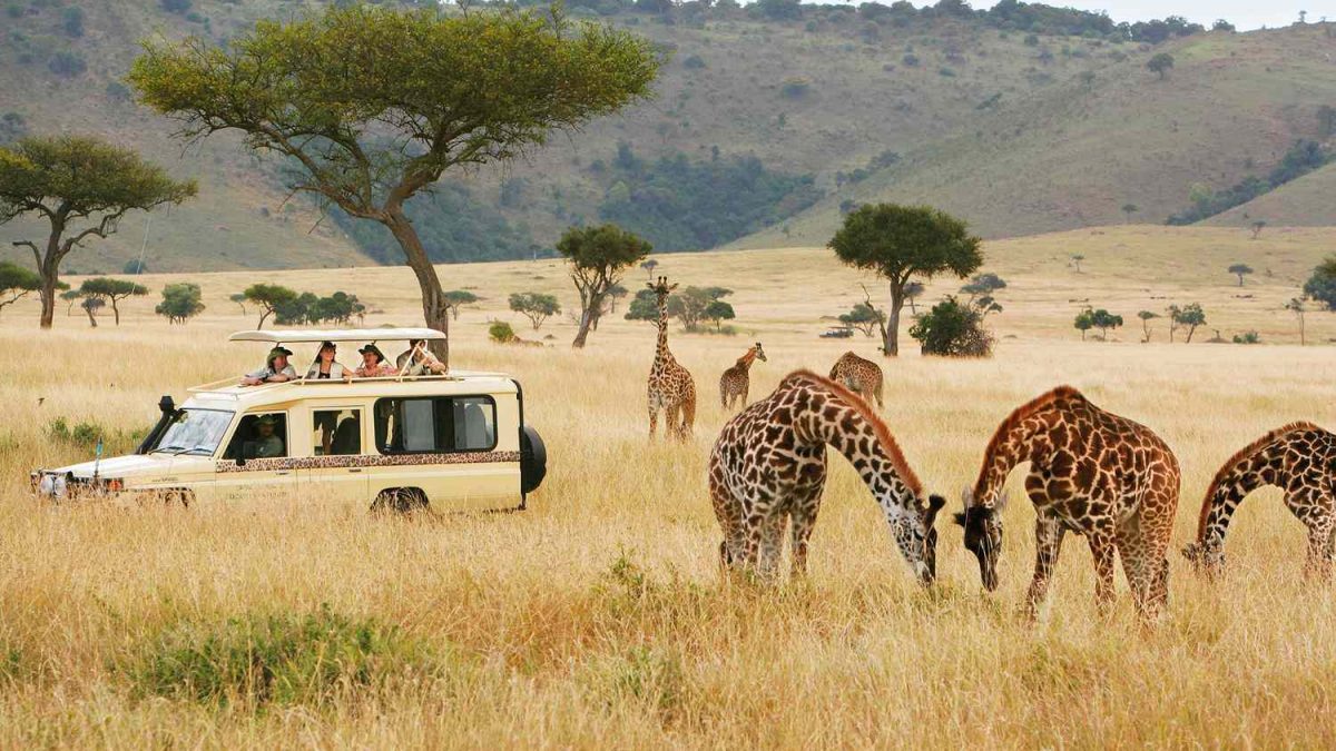 African Safaris Kenya Tanzania