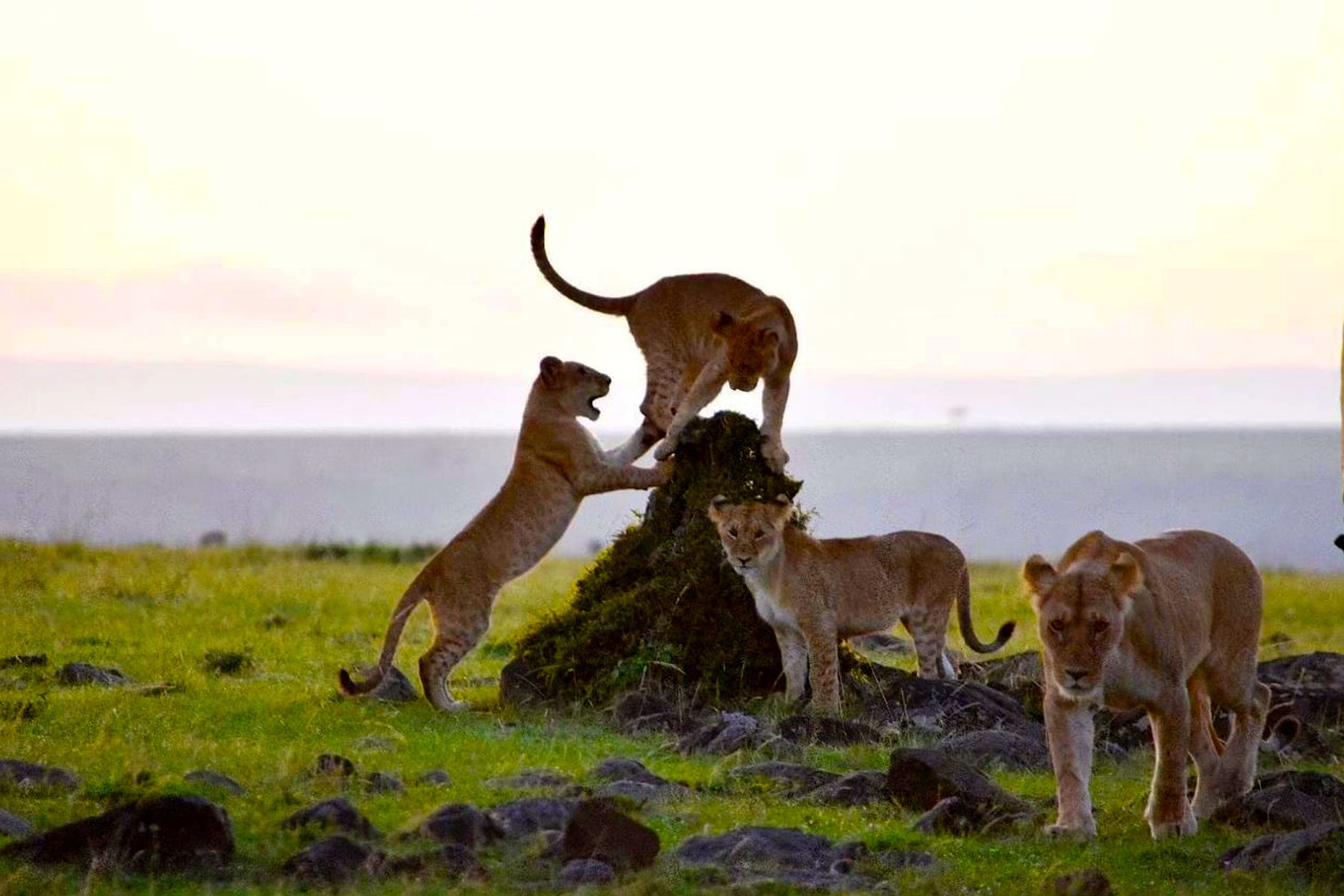 Amboseli National Park