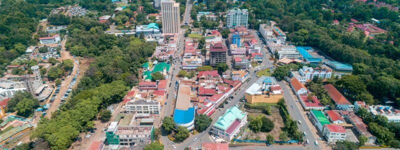 14 Days wildebeest migration gorillas and victoria falls