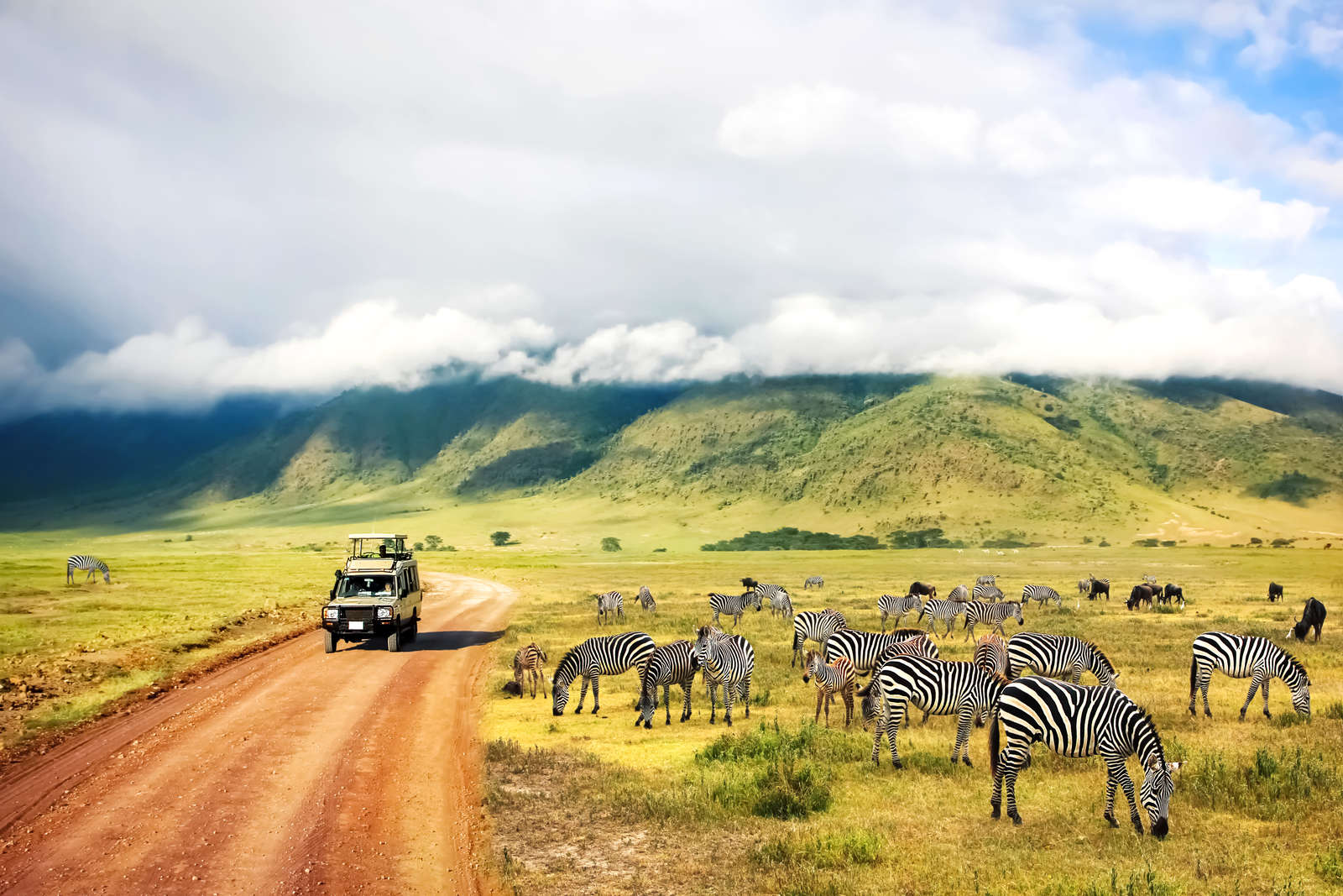 Best Safari Experience in Tanzania