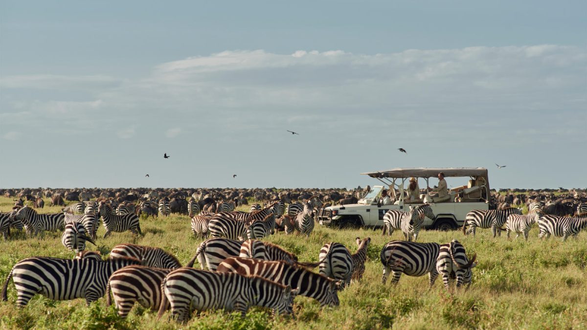 Best Safari Park in Tanzania