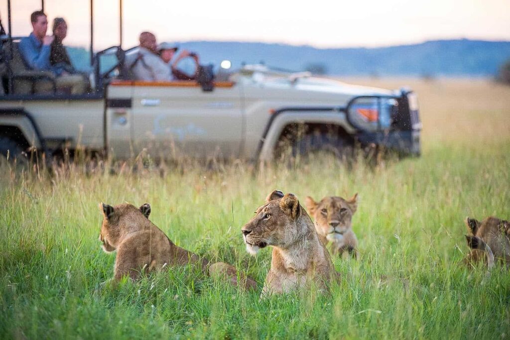 Best Safari Reserve in Tanzania
