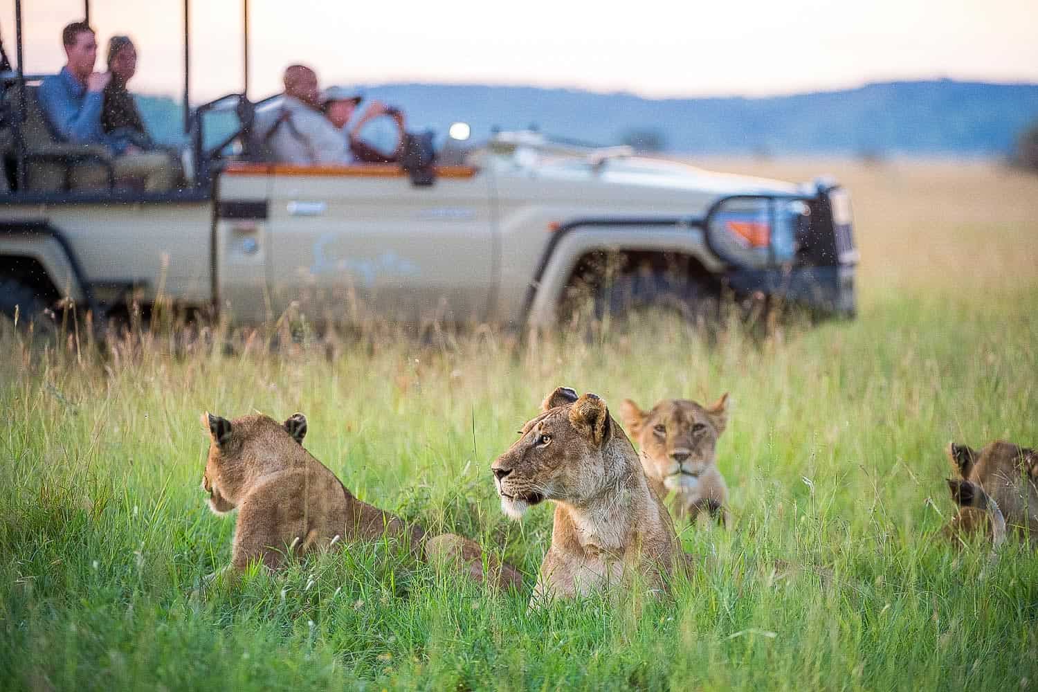 Best Safari Reserve in Tanzania