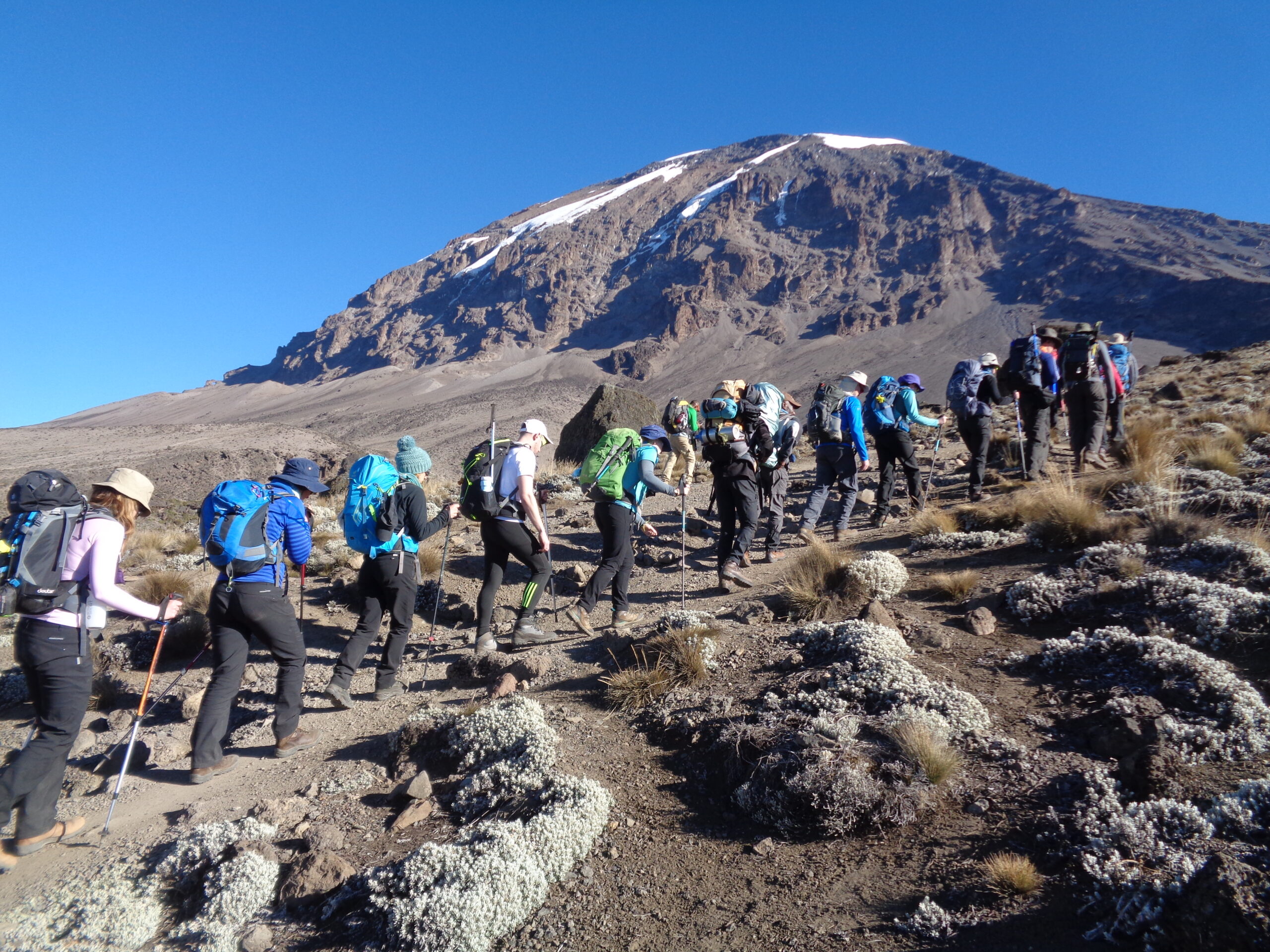 Best Time for Climbing Kilimanjaro